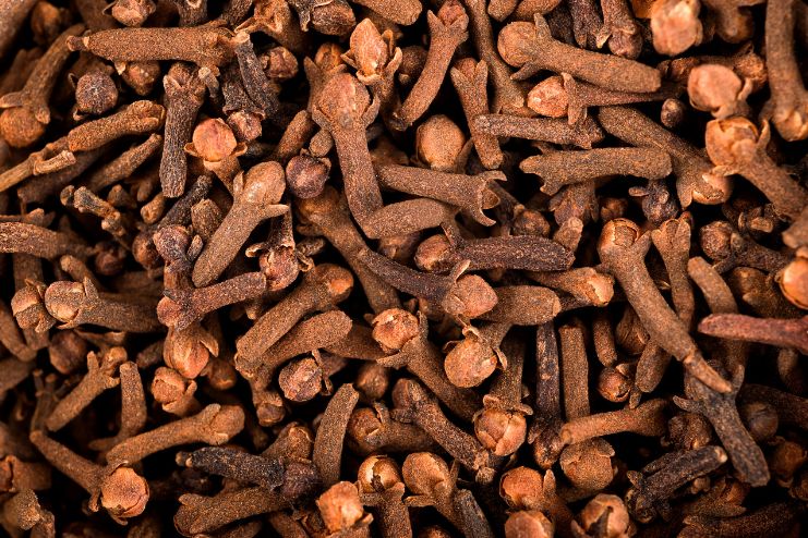 Cloves