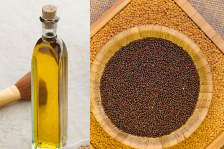 Composition and Properties of Mustard Oil