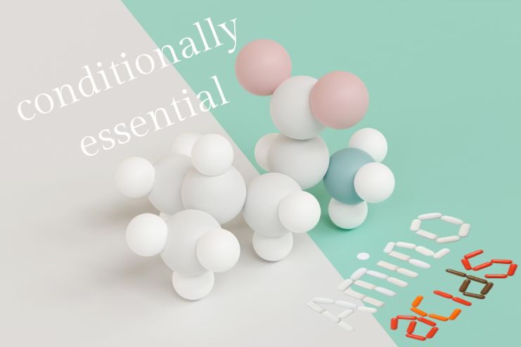 Conditionally Essential Amino Acid