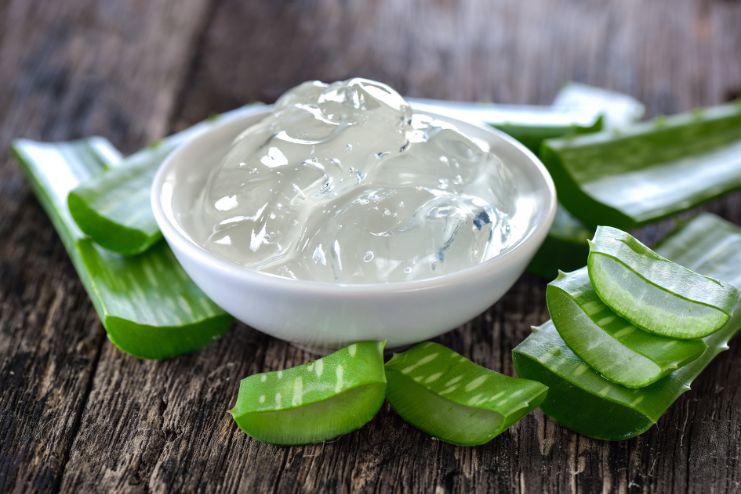 Conditions aloe vera can treat