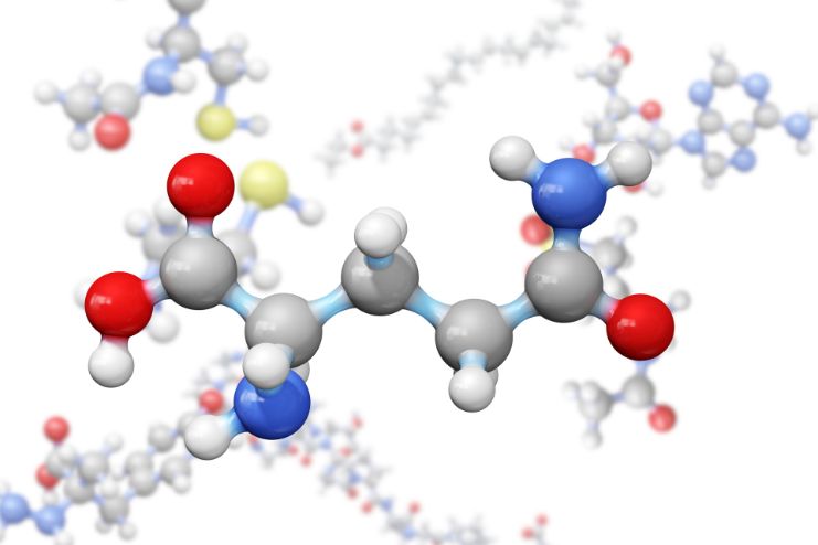 Essential Amino Acids