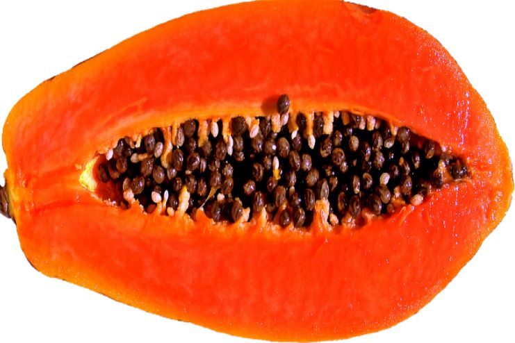 Health Benefits of Papaya Seeds