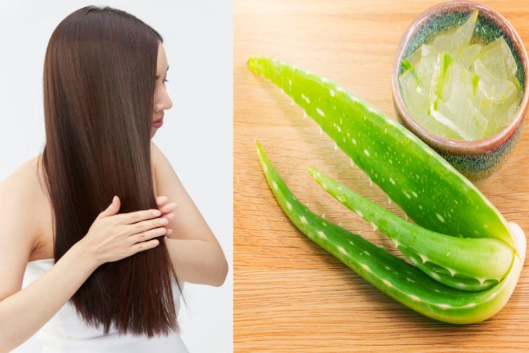 How to use aloe for hair