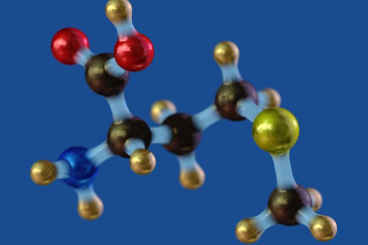 Methionine Amino Acids