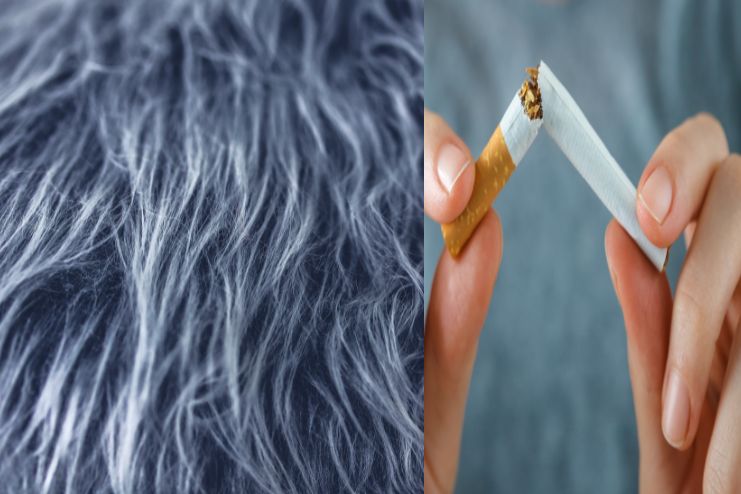 Myths to debunk on grey hair