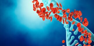 హిమోగ్లోబిన్ స్థాయిలను త్వరగా పెంచే సహజ చిట్కాలు.! - Natural Tips to Increase Hemoglobin Levels Quickly Natural Tips to Increase Hemoglobin Quickly