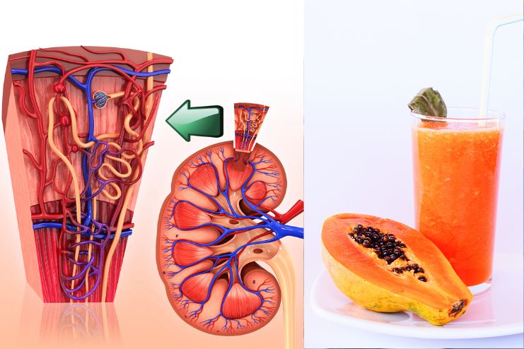 Nephroprotective