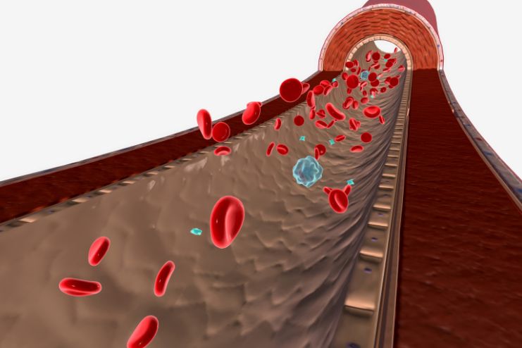 Normal Hemoglobin Levels