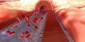 ప్లేట్లెట్ స్థాయిలను పెంచడానికి పోషకాహార వ్యూహాలు - Nutritional Strategies to Boost Platelet Levels Nutritional Strategies to Boost Platelet Levels