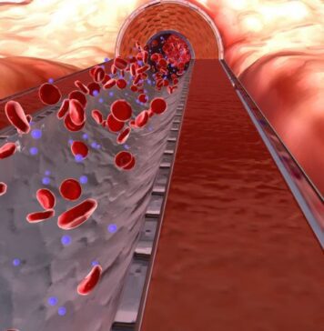 ప్లేట్లెట్ స్థాయిలను పెంచడానికి పోషకాహార వ్యూహాలు Nutritional Strategies to Boost Platelet Levels