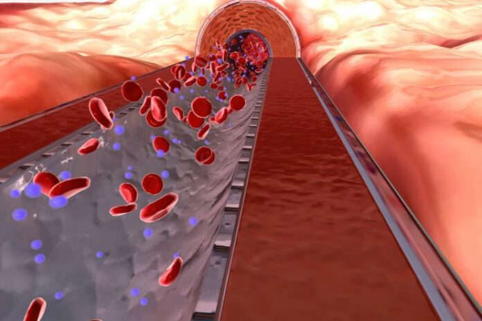 Nutritional Strategies to Boost Platelet Levels