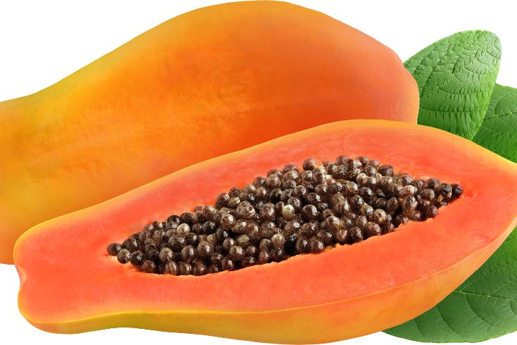 Papaya Seeds nutrition