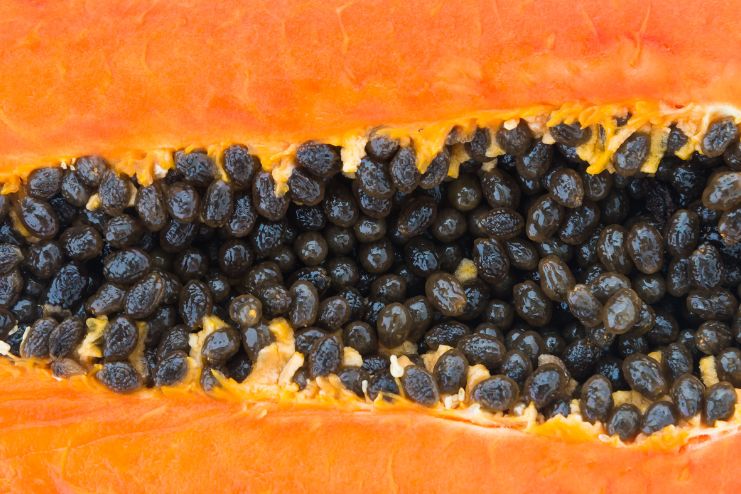 Papaya seeds