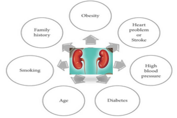 Risk factors for diabetic nephropathy