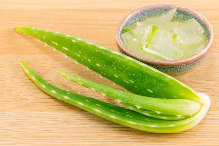 Risks of aloevera