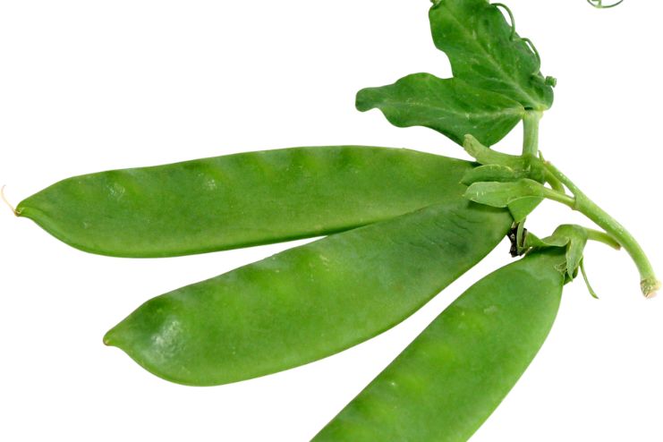 Side Effects of Snow Peas