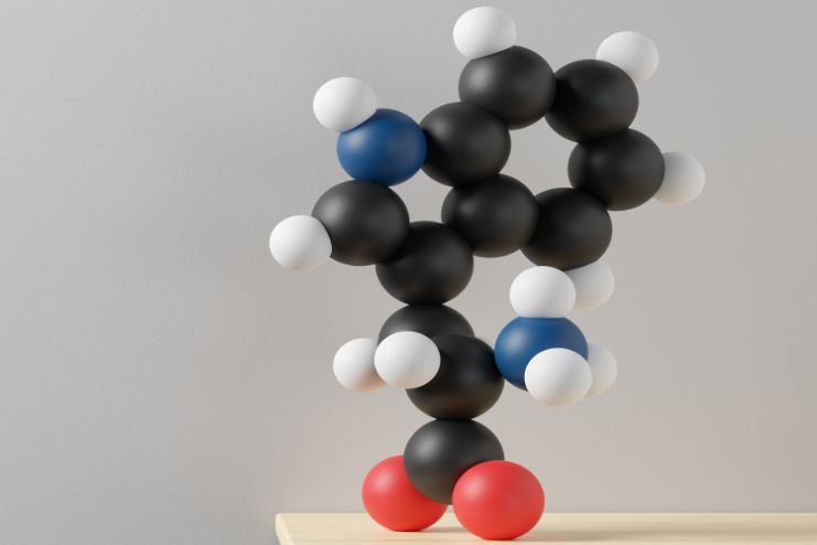 Tryptophan Amino Acids