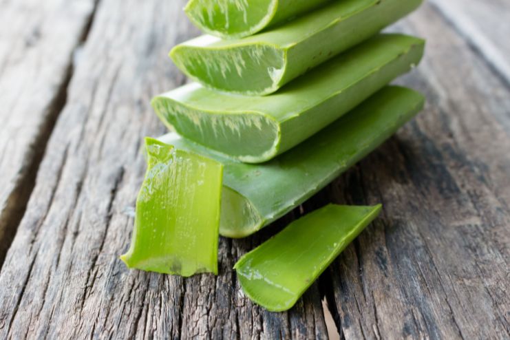 Types of aloevera