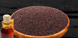 ఆవనూనె: మెరుగైన జీర్ణక్రియ.. ప్రోత్సాహక గట్ ఆరోగ్యం.. - Mustard Oil: Enhancing Digestion and Promoting Gut Wellness mustard oil