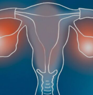 అమెనోరియా: రకాలు, లక్షణాలు మరియు ప్రభావవంతమైన చికిత్సలు Amenorrhoea_ Types, Symptoms, and Treatment Approaches