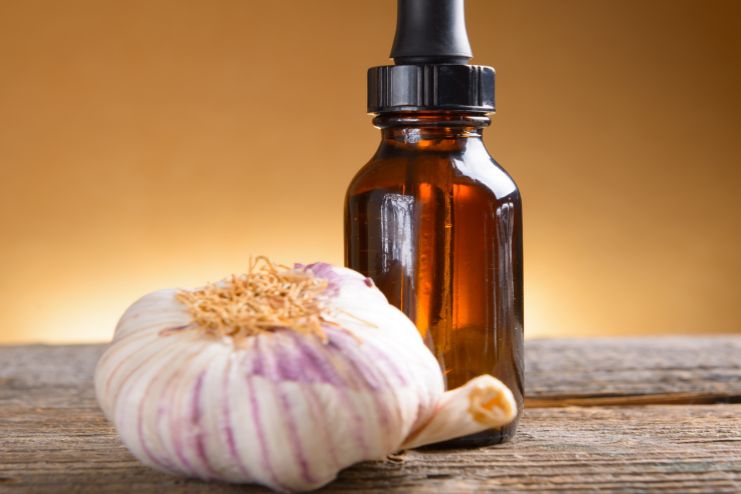 Garlic extract