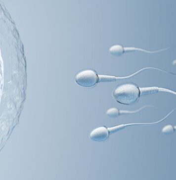 పురుషులలో లైంగిక సామర్థ్యాన్ని పెంచే ఆహారాలివే.! Male Fertility and Diet_ What to Eat for Improved Sperm Quality