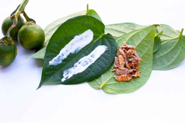 Side Effects of Betel Leaves