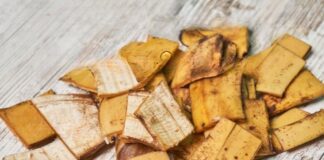 అరటి తొక్కలతో సౌందర్యం, మెరిసే జుట్టు మీ సొంతం.. ప్రయోజనాలు అనేకం.. - Banana Peels: The Hidden Benefits of this Common Waste The Hidden Benefits of this Common Waste