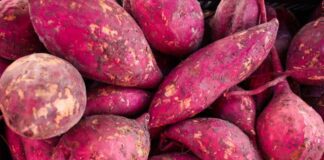 చిలగడదుంపలతో కలిగే ఆరోగ్య ప్రయోజనాలు తెలుసా? - Amazing Health Benefits and Nutritional facts of Sweet Potatoes Amazing Health Benefits and Nutritional facts of Sweet Potatoes