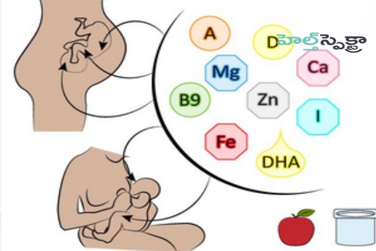 Benefits for pregnant and lactation