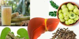 కాలేయం అరోగ్యానికి అవసరమయ్యే ఉత్తమ ఆయుర్వేద మూలికలు - Boost Your Liver Health with These Ayurvedic Herbs Boost Your Liver Health with These Ayurvedic Herbs