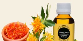 కుసుమ నూనె: పోషకాలతో పాటు ప్రయోజనాల అమృత ప్రధాయిని - Power of Safflower Oil: Nourishing the Body from the Inside Out Power of Safflower Oil_ Nourishing the Body from the Inside Out