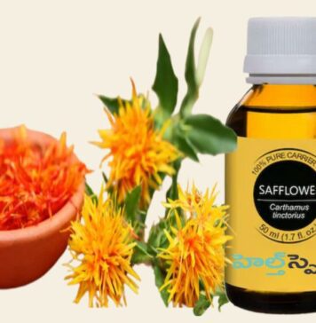 కుసుమ నూనె: పోషకాలతో పాటు ప్రయోజనాల అమృత ప్రధాయిని Power of Safflower Oil_ Nourishing the Body from the Inside Out