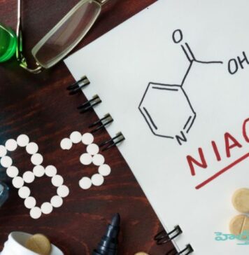 విటమిన్ బి-3: నియాసిన్ అద్భుత అరోగ్య ప్రయోజనాలు Vitamin B3 Powerhouse_ The Surprising Benefits of Niacin