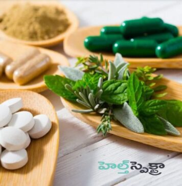 సరైన శోషణకు ఏ రకమైన విటమిన్ సప్లిమెంట్ సరైనది? What Type of Vitamin Supplement Is Right for Optimal Absorption