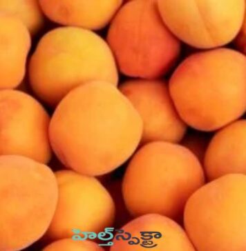 ఆప్రికాట్ పండ్లలోని పోషక గుణాలు, ఆరోగ్య ప్రయోజనాలు Apricot_ Nutritional properties and Health Benefits