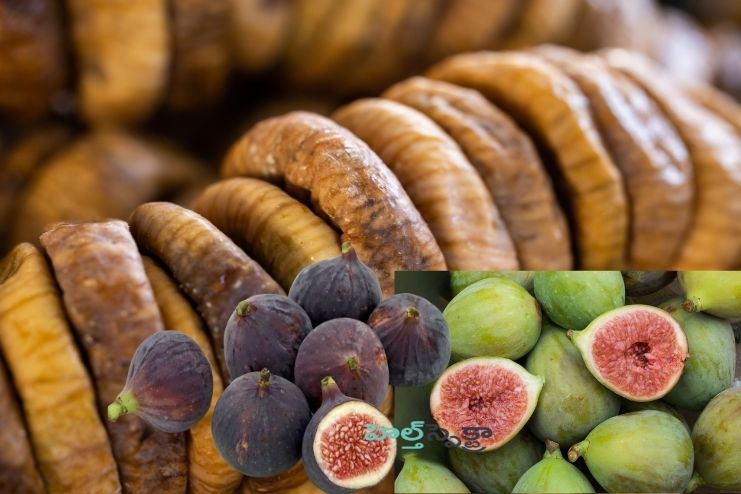 Are Figs Good For You