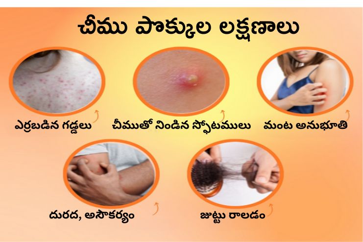 Ayurvedic Symptoms of Folliculitis