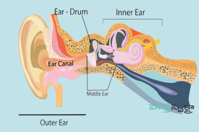 Hearing loss Causes, Symptoms, Treatment and Prevention