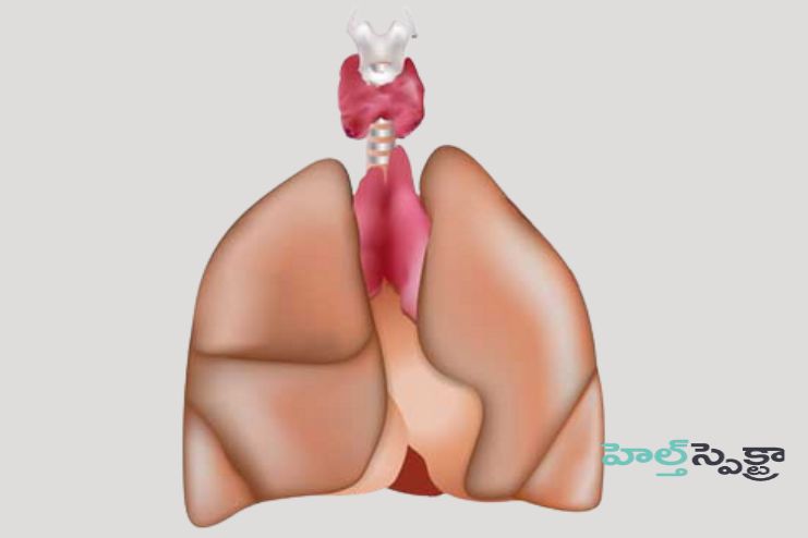 Hyperthyroidism_ Link with chest pain and Heart failure 2