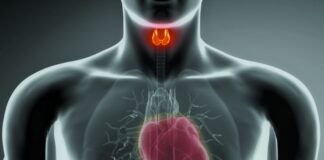 హైపర్ థైరాయిడిజం: ఛాతీ నొప్పి, గుండె వైఫల్యంతో సంబంధం? - Hyperthyroidism: Link with chest pain and Heart failure Hyperthyroidism_ Link with chest pain and Heart failure