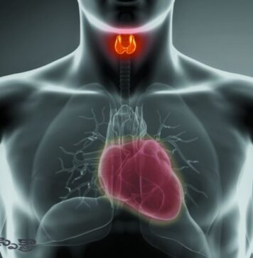 హైపర్ థైరాయిడిజం: ఛాతీ నొప్పి, గుండె వైఫల్యంతో సంబంధం? Hyperthyroidism_ Link with chest pain and Heart failure