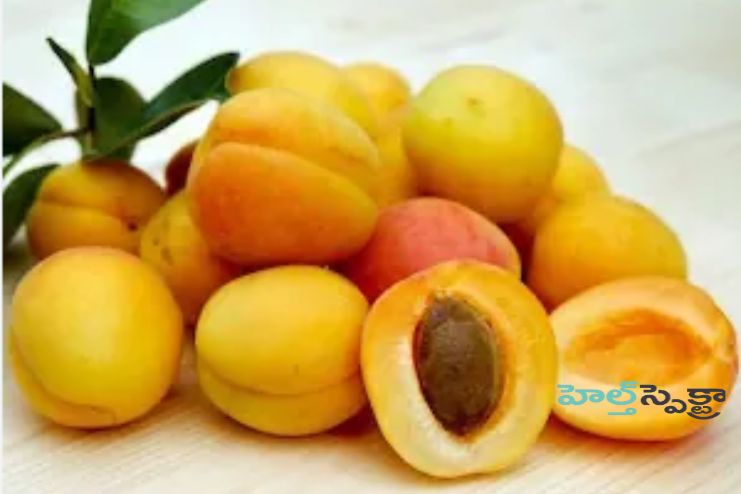 Nutritional Properties of Apricots
