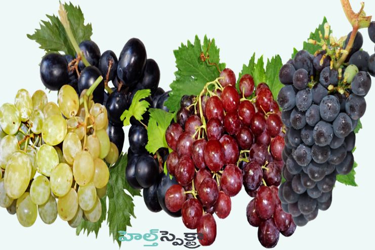 Nutritional content of different types of grapes