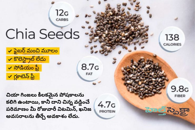 Nutritional information of Chia seeds