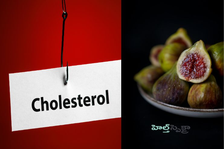 Reducing cholesterol and triglycerides