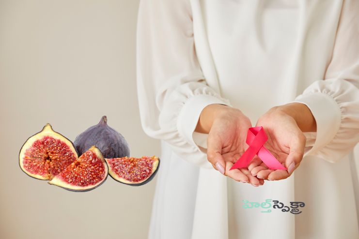 Reducing the risk for cancer