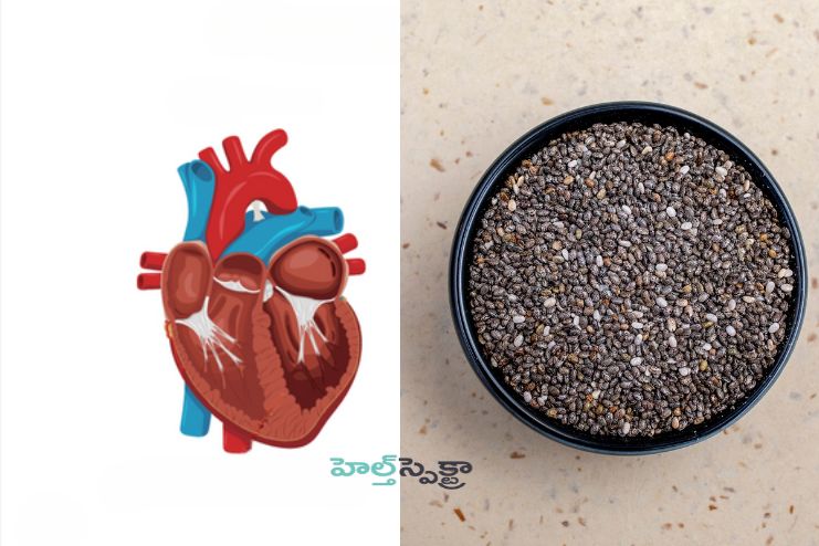 Reducing the risk for cardiovascular disease