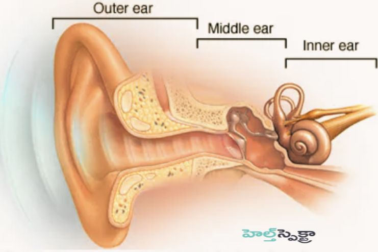 Types of hearing loss