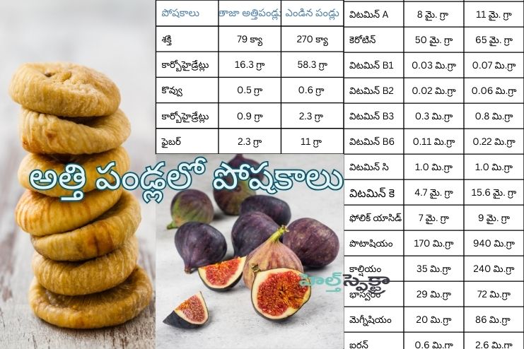 nutrition profile of fig